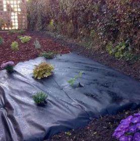 Weedtex Weed Control Fabric 50G 1x15m (15m2)